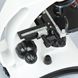 Микроскоп Delta Optical BioLight 300 3028t фото 3